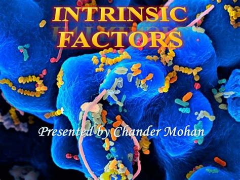intrinsic factors pptx