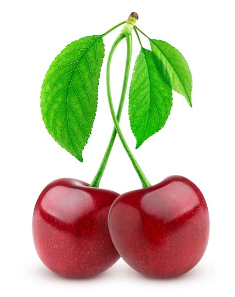 Premium Photo Two Fresh Cherries On White Background