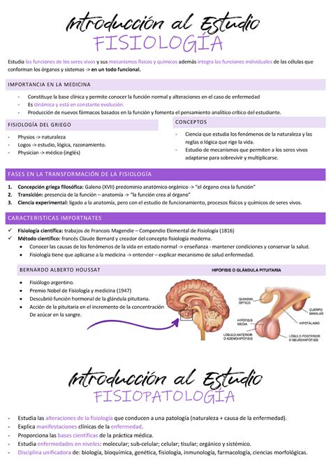 Repaso 1 fisiología de guyton Estudia las funciones de los seres