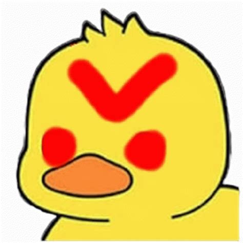 Pet Ducky Sticker Pet Ducky Discover Share Gifs