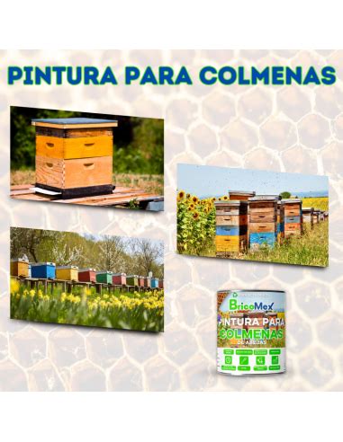 Pintura Para Colmenas De Abejas Protege Y Cuida A Tus Abejas