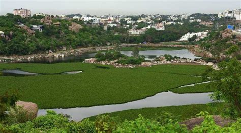 Durgam Cheruvu Lake (Hyderabad) Secret Lake, Timings,