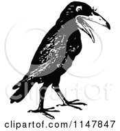 Clipart Of Vintage Black And White Crows And Roasted Chestnuts