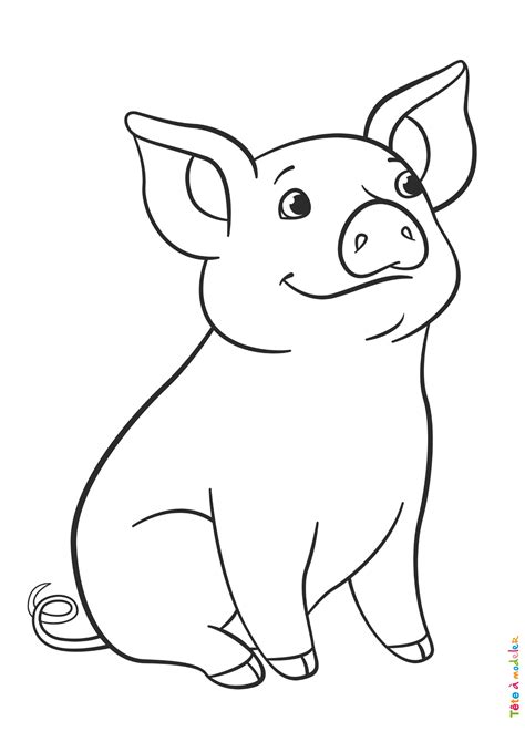 Coloriage cochon 05 un dessin à imprimer de Tête à modeler