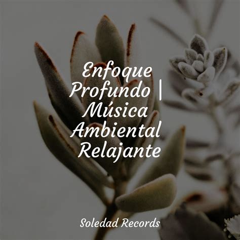 Enfoque Profundo M Sica Ambiental Relajante Album By Musica