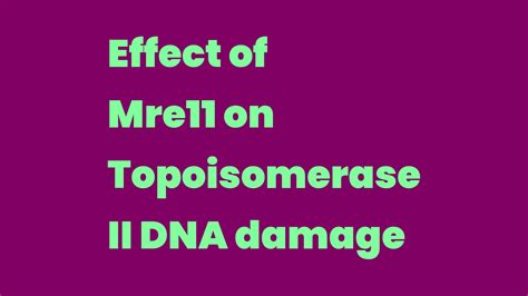 Effect Of Mre11 On Topoisomerase II DNA Damage Write A Topic