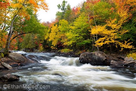 Ethan Meleg - Nature Photography Blog: Muskoka fall colours ...