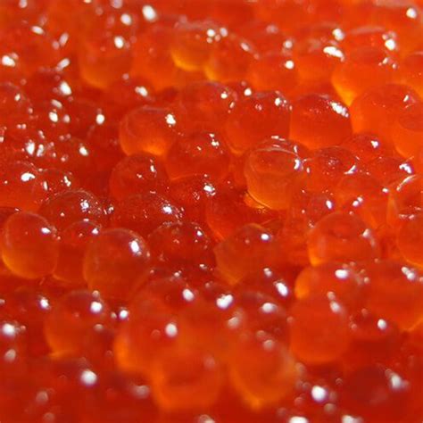 Wild Salmon – Keta – Ocean Fresh Inc