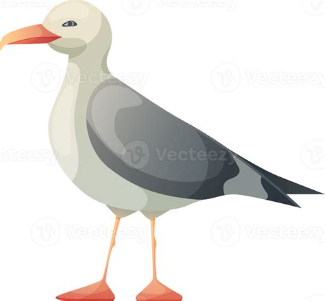 Seagull Bird Png Resting Curious Standing Sea Bird Illustration