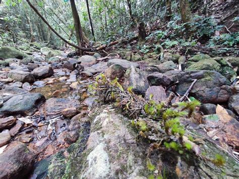 Catchment Area of a Water Stream. Stock Image - Image of natural ...