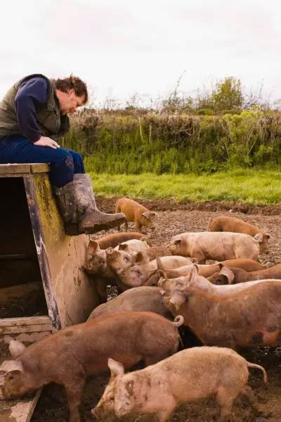 10 Traits Of A Good Farmer What Makes A Successful Farmer Stand Out