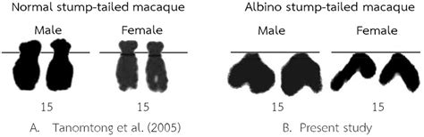 Comparison Of Normal Chromosome A And Deletion Of Short Arm Download Scientific Diagram