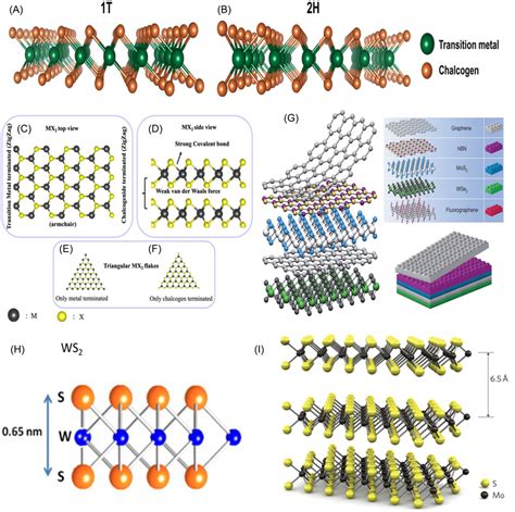 A B 1t And 2h Structures Of Transition Metal Dichalcogenide Tmd Download Scientific