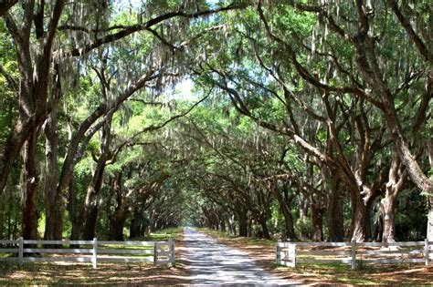 Where Was Forrest Gump Filmed