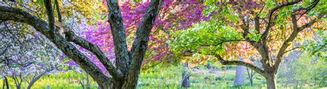 Morris Arboretum Public Events