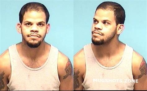 Gonzalez Torres Gilberto Lorain County Mugshots Zone