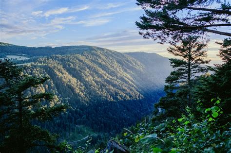 Black Forest Road Trip Driving The B500 Black Forest High Road We