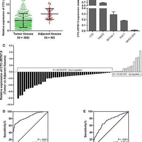 The Expression Of Ctc N In Hepatocellular Carcinoma Hcc And The