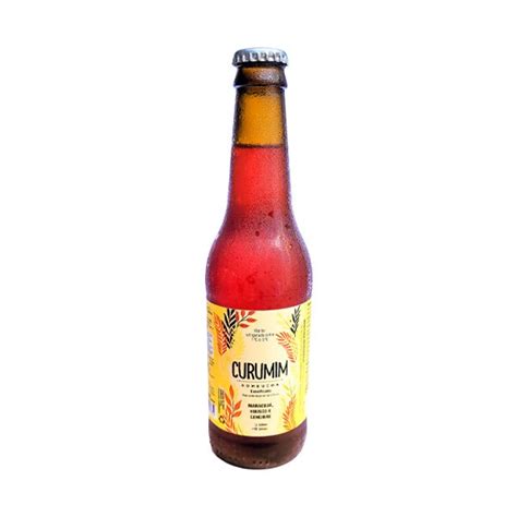 Kombucha Maracuj Hibisco E Gengibre Rede I Tal