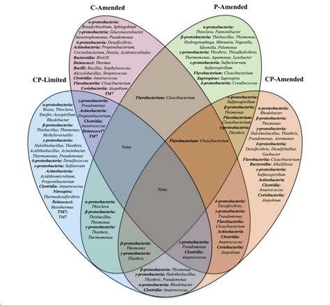 Venn Diagram Of The Shared Bacterial Genera Found In The Four Reactor