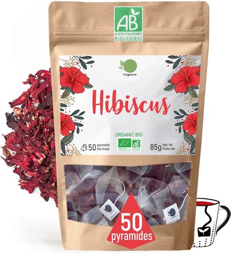 ORIGEENS HIBISCUS BIO 50 sachets de thé Fleur Hibiscus pour Bissap