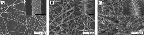 SEM Images Of TiO 2 Hierarchical Nanostructures Prepared In A HCl