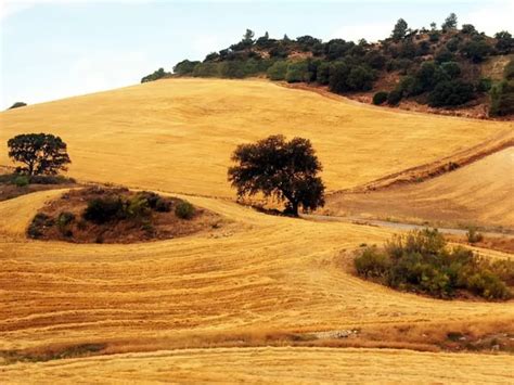 C Mo Tramitar Una Herencia De Finca R Stica En Espa A