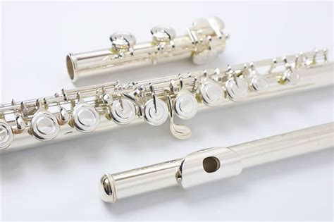 Free Shipping Special Price Yamaha Flute Yfl Closed Reverb