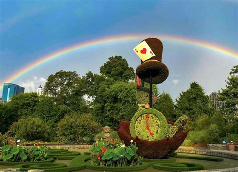 Atlanta Botanical Garden Debuts Alice in Wonderland-Themed Exhibit