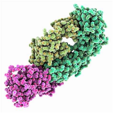 Tumour Necrosis Factor Complex Photograph By Laguna Designscience