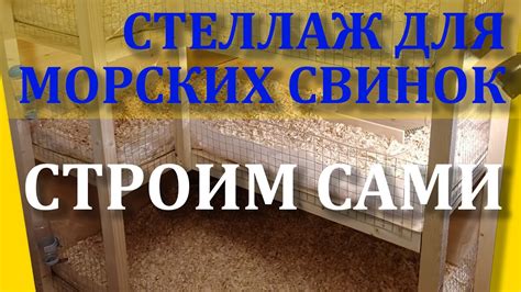 Стеллаж для морских свинок. Строим стеллаж для морских свинок своими ...