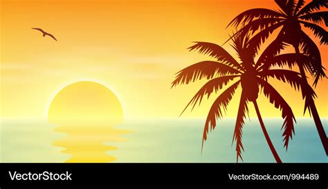 Tropical Sunset Royalty Free Vector Image Vectorstock