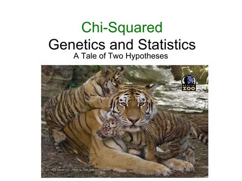 PDF Chi Squared Genetics And Statistics Use Chi Square To Prove