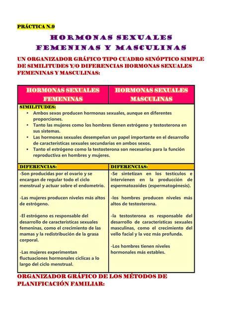 Hormonas Sexuales Femeninas Y Masculinas Valeria Arce Arias Udocz