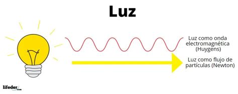 Teor A Ondulatoria De La Luz Explicaci N Aplicaciones Ejemplos