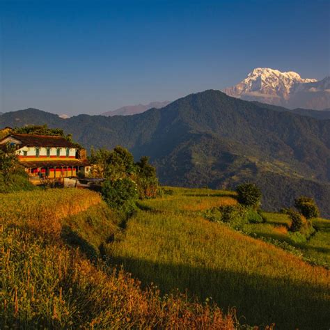 Dhampus Kaski Buy Images Of Nepal Stock Photography Nepal