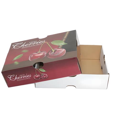 Single Wall Ply Cardboard Fruit Packaging Corrugated Box At Rs