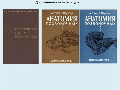 Зоология позвоночных. Анатомия позвоночных - презентация онлайн