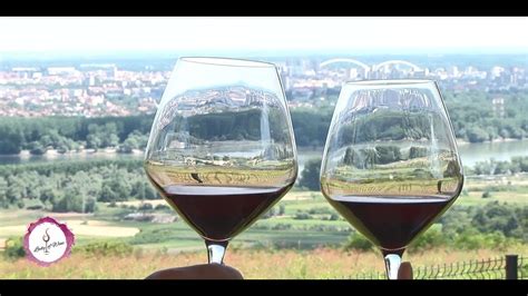 Lady Of Wine Vinski Turizam Vinarija Dumo YouTube