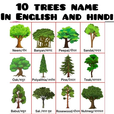 Educational Charts Artofit