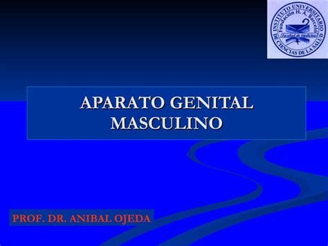 Clases A O Genital Masculino Ppt Descarga Gratuita