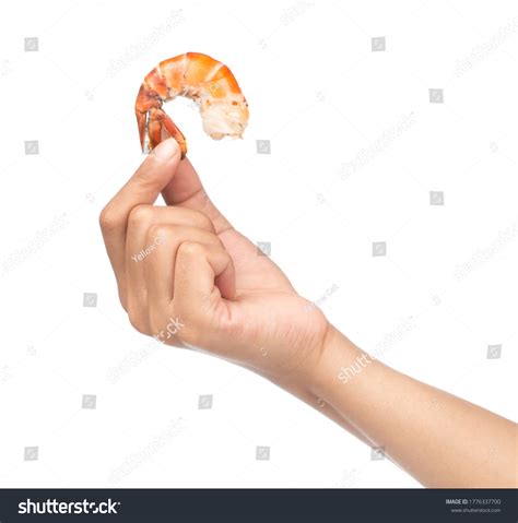 6143 Hand Hold Shrimp Images Stock Photos And Vectors Shutterstock