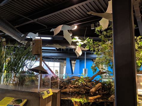 Visiting the ECHO Leahy Center in Burlington – A Child Grows