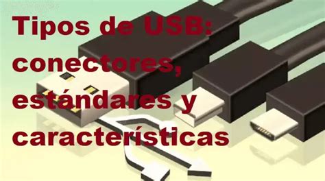 Tipos De Usb Conectores Estándares Y Características 2025