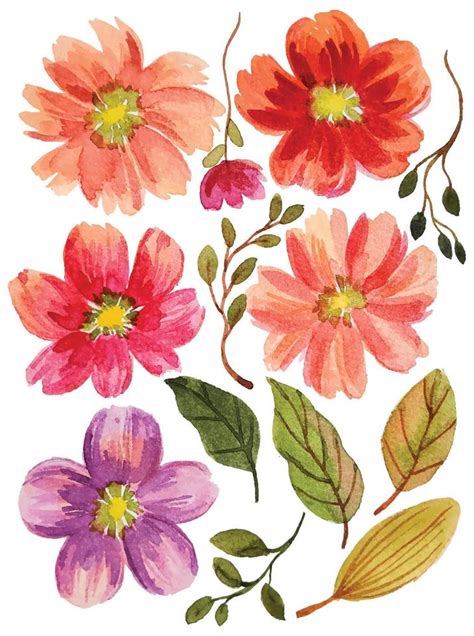 Watercolor Flower Elements 11887175 Vector Art At Vecteezy