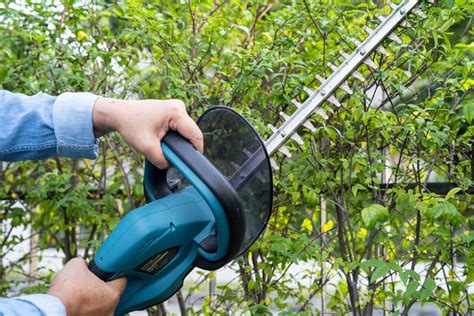 How To Sharpen Hedge Trimmer Blades Safe Efficient Guide