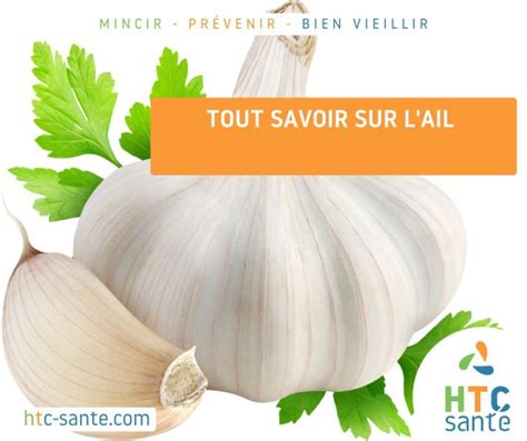 Tout Savoir Sur L Ail D Couvrez Ses Bienfaits Pour La Sant