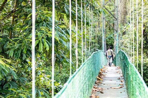 Arenal Mistico Park Hanging Bridges Tour Alldailytours