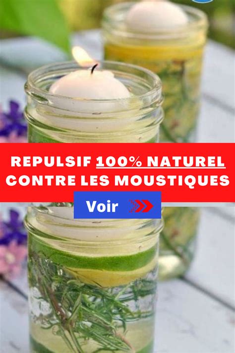 Enfin Un R Pulsif Naturel Que Tous Les Moustiques D Testent