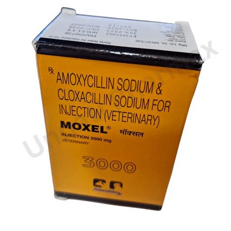 Vetmate Amoxicillin Sodium And Cloxacillin Sodium For Injection Moxel